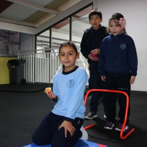 Día de la Actividad Física